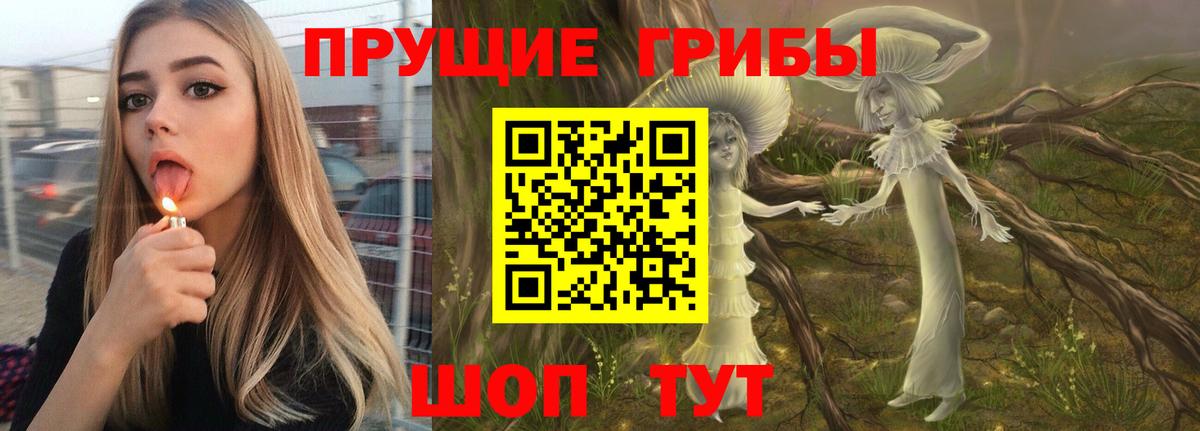 Псилоцибиновые грибы прущие грибы Верхняя Пышма