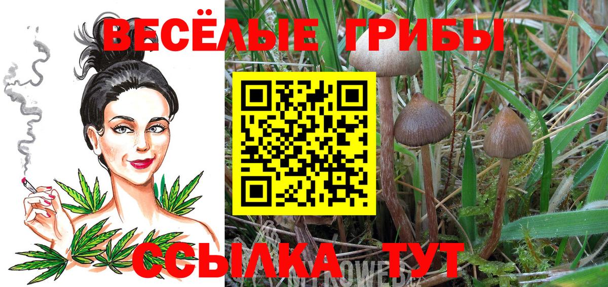 Галлюциногенные грибы мицелий  Вход с VPN  Галлюциногенные грибы прущие грибы  Верхняя Пышма 